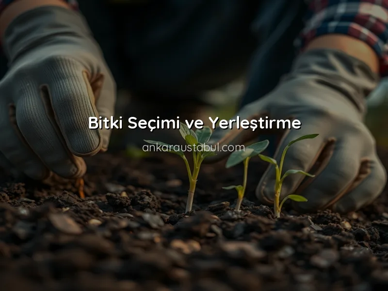 Bahçe Bakımının Mevsimsel Rehberi: İlkbahar İpuçları