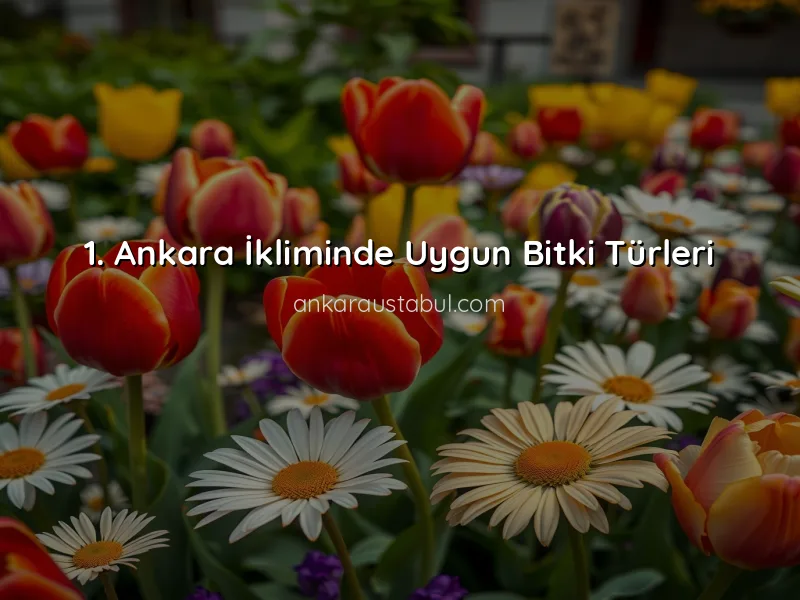 Ankara'da Bahçe Düzenleme Fikirleri ile Estetik Oluşturun
