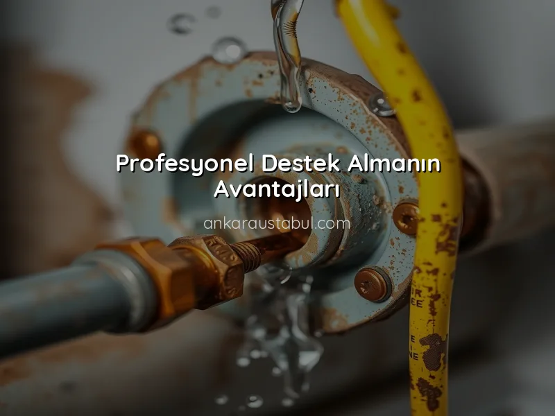 Ankara'da Sıhhi Tesisat Hizmetleri: Neden Profesyonel Destek Almalısınız?