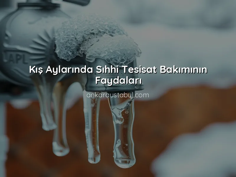 Kış Aylarında Sıhhi Tesisat Bakımının Önemi