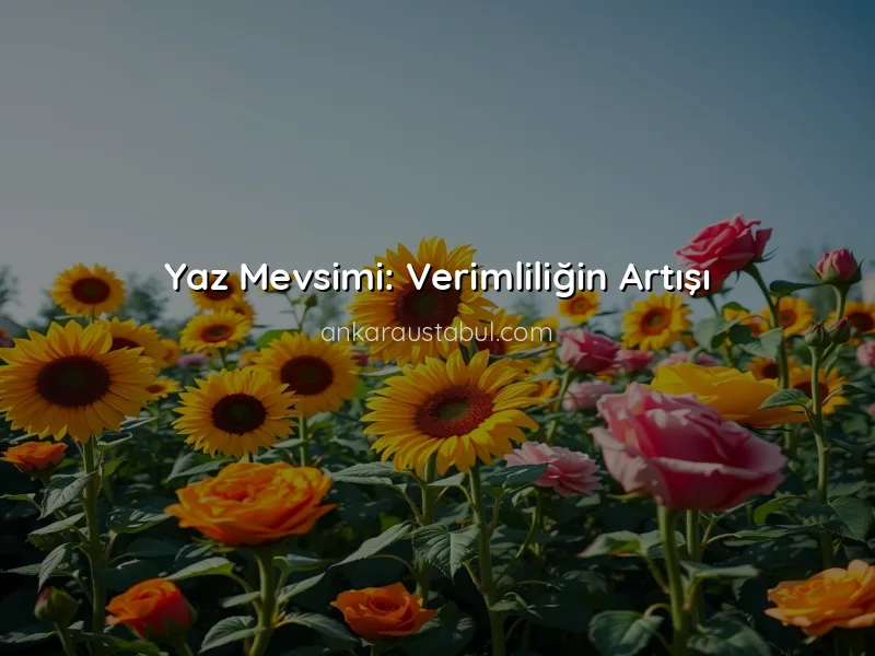Mevsime Göre Bahçe Bitkileri: Hangi Bitkiler Hangi Zamanlarda?