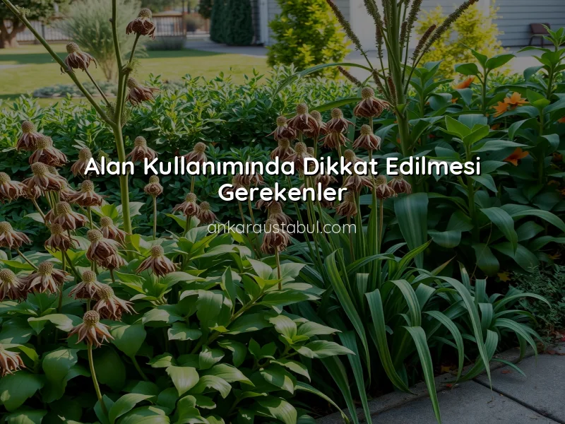 Bahçe Düzenlemede Sık Yapılan Hatalar ve Çözümleri
