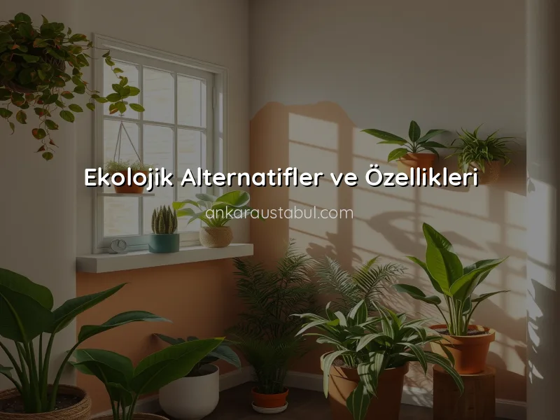 Sürdürülebilir Boya Seçenekleri: Ekolojik Alternatifler