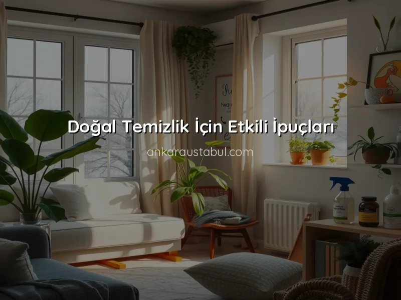 Doğal Temizlik Yöntemleri ile Sağlıklı Bir Yaşam Alanı Oluşturma