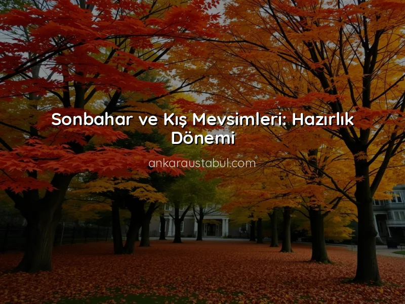 Mevsime Göre Bahçe Bitkileri: Hangi Bitkiler Hangi Zamanlarda?