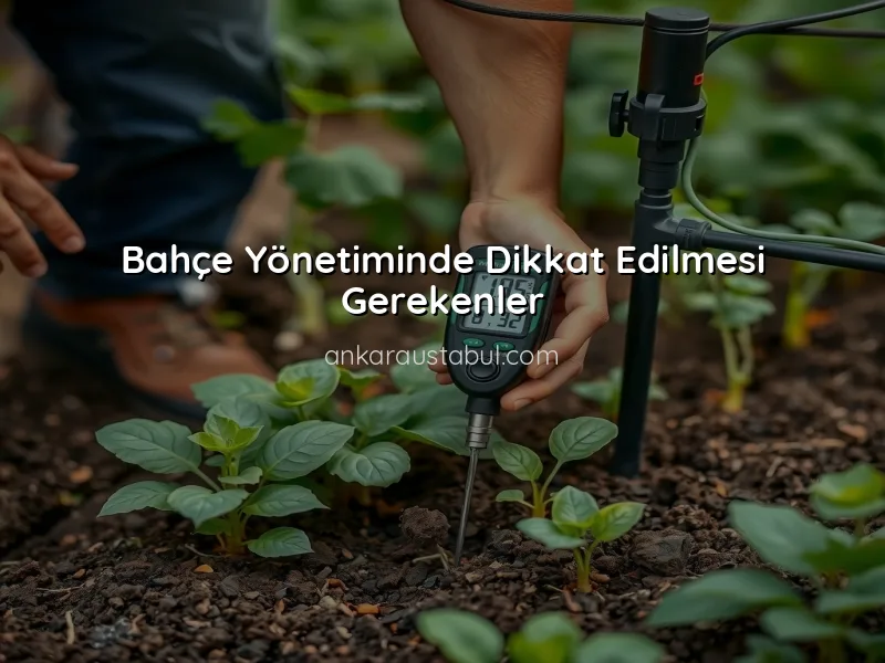 Bahçe Sulama Sistemleri: Verimliliği Artırmanın Yolları