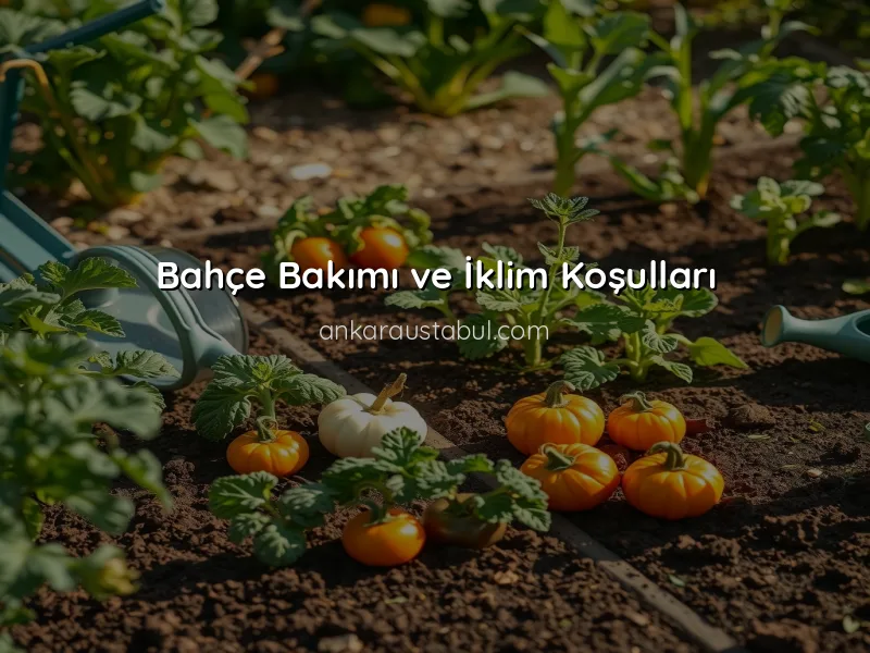 Ankara İkliminde Bahçe Planlaması: Doğru Bitki Seçimi