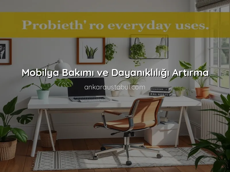 Montajdan Sonra Mobilyalarınızı Korumanın Yolları