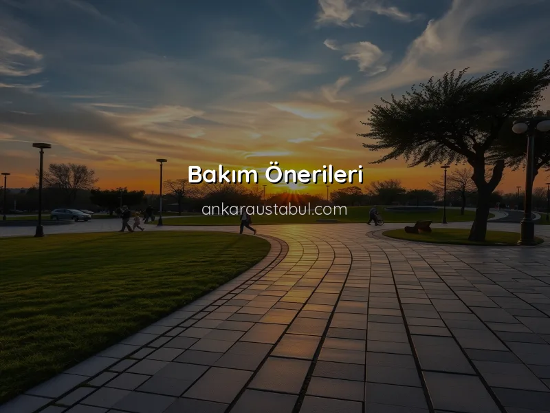 Ankara'da Parke Uygulamaları için En İyi İpuçları