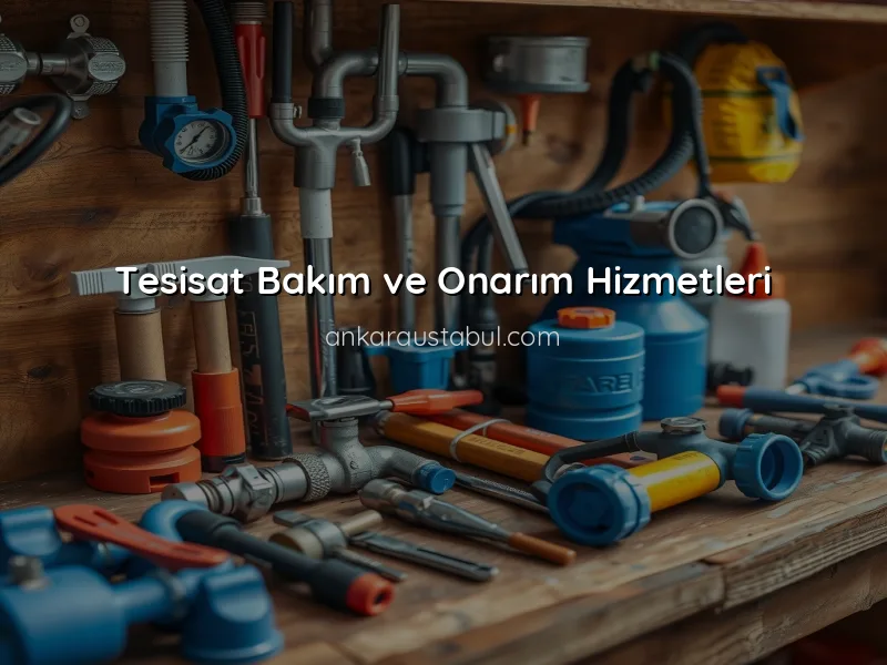 Ankara'da Sıhhi Tesisat Hizmetleri: Neden Profesyonel Destek Almalısınız?