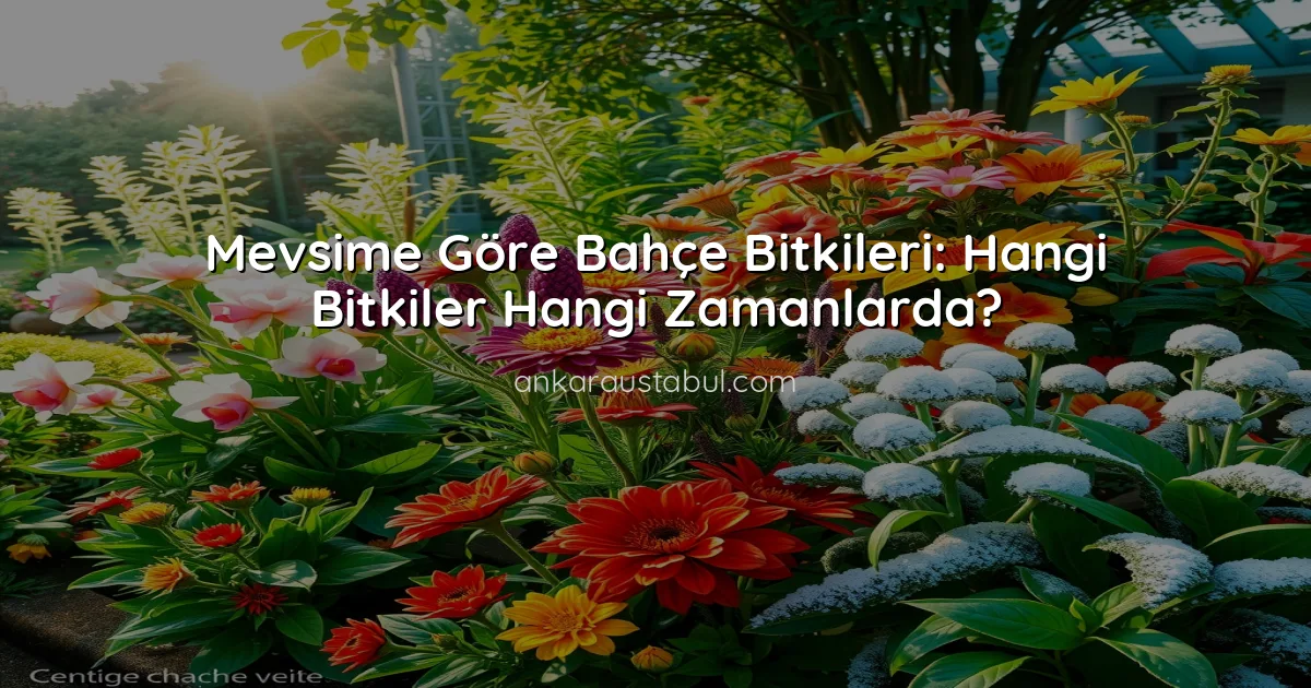 Mevsime Göre Bahçe Bitkileri: Hangi Bitkiler Hangi Zamanlarda?