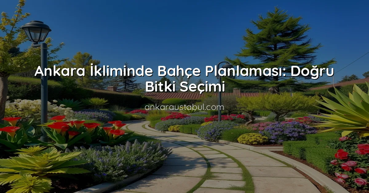 Ankara İkliminde Bahçe Planlaması: Doğru Bitki Seçimi