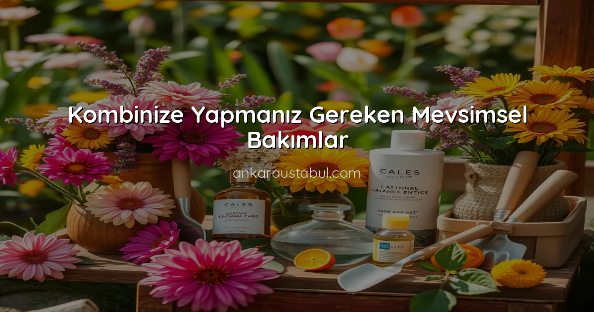 Kombinize Yapmanız Gereken Mevsimsel Bakımlar