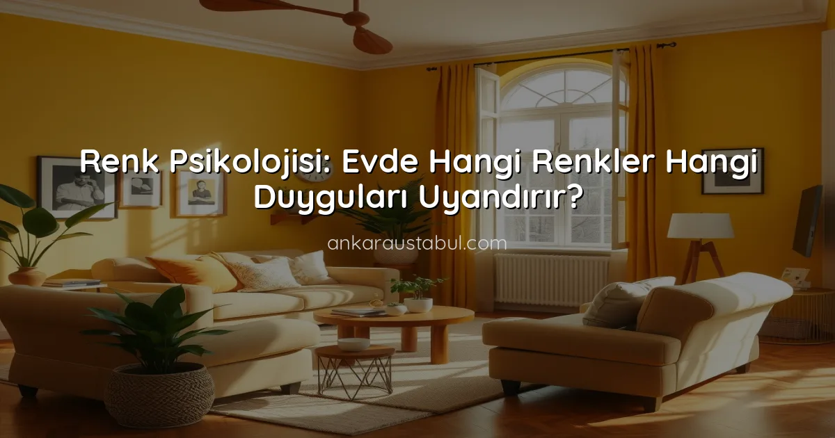 Renk Psikolojisi: Evde Hangi Renkler Hangi Duyguları Uyandırır?